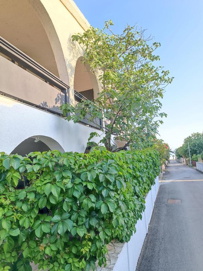 Apartments Branka- 4 Apartments In House- 1 Apartment Has Jacuzzi Vir Exterior photo