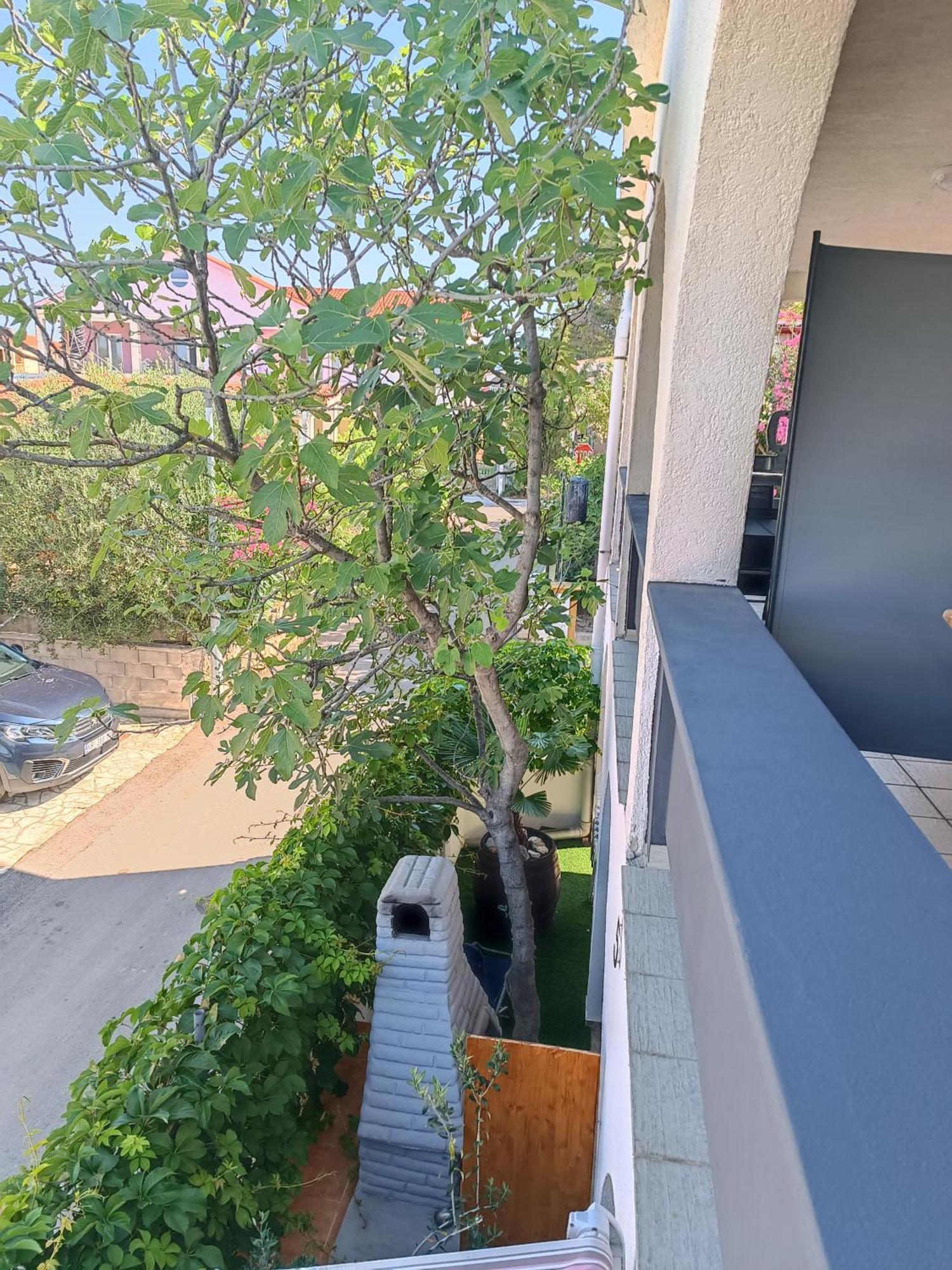 Apartments Branka- 4 Apartments In House- 1 Apartment Has Jacuzzi Vir Room photo